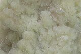Free Standing Green Prasiolite Quartz Formation #357216-3
